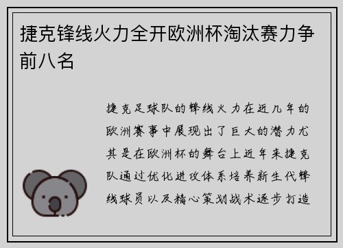 捷克锋线火力全开欧洲杯淘汰赛力争前八名