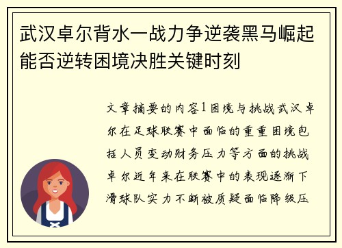 武汉卓尔背水一战力争逆袭黑马崛起能否逆转困境决胜关键时刻